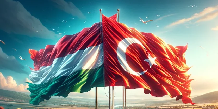 La Dentisterie Turquie et Hongroise : Une Comparaison Cruciale pour les Patients